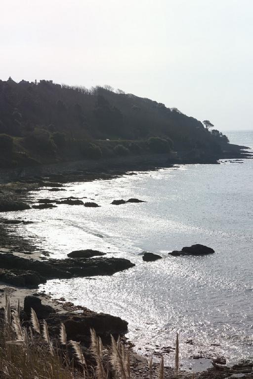 Park View Townhouse Hotell Falmouth Exteriör bild